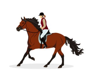 Endurance Equestre